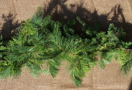 Cedar, Pine and Spruce Garland