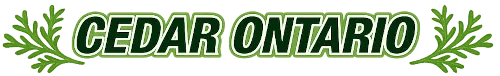 CEDAR ONTARIO