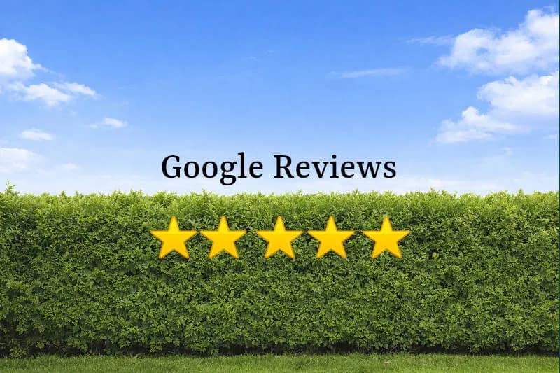 Google Reviews for Cedar Ontario